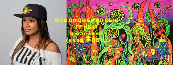 ПСИЛОЦИБИНОВЫЕ ГРИБЫ Болхов