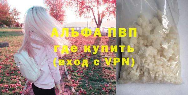 гашик Абаза