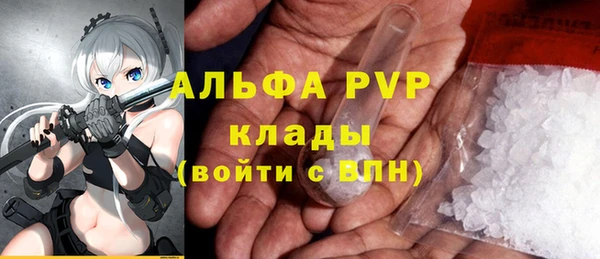 гашик Абаза