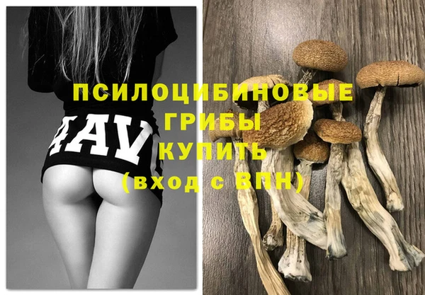 эйфоретик Абинск