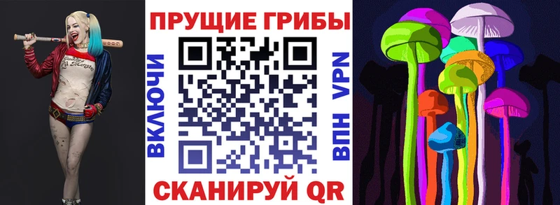 Галлюциногенные грибы мухоморы  hydra онион  Касимов  как найти закладки 
